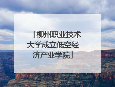 柳州职业技术大学成立低空经济产业学院