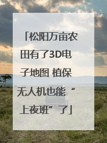 松阳万亩农田有了3D电子地图 植保无人机也能“上夜班”了