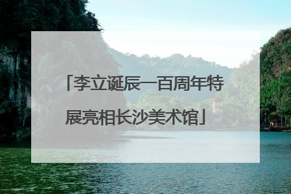 李立诞辰一百周年特展亮相长沙美术馆