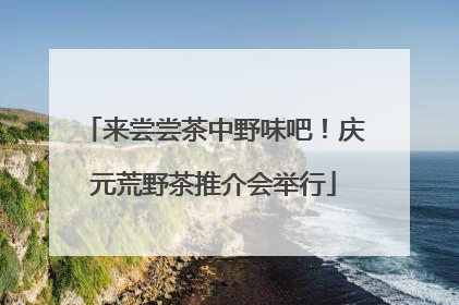 来尝尝茶中野味吧！庆元荒野茶推介会举行