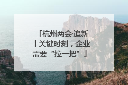 杭州两会·追新丨关键时刻，企业需要“拉一把”