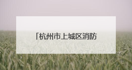 杭州市上城区消防救援大队绘就基层消防治理新图景