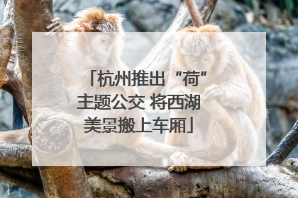 杭州推出“荷”主题公交 将西湖美景搬上车厢
