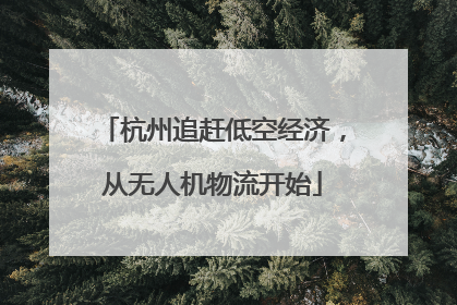 杭州追赶低空经济，从无人机物流开始