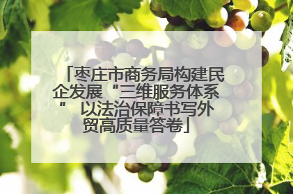 枣庄市商务局构建民企发展“三维服务体系” 以法治保障书写外贸高质量答卷