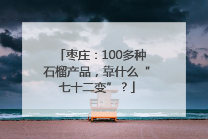枣庄：100多种石榴产品，靠什么“七十二变”？