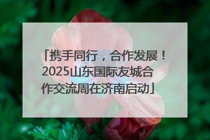 携手同行，合作发展！2025山东国际友城合作交流周在济南启动