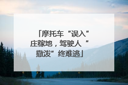 摩托车“误入”庄稼地，驾驶人“撒泼”终难逃