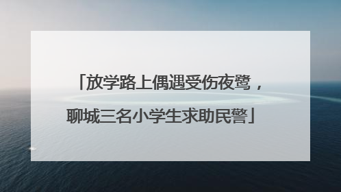 放学路上偶遇受伤夜鹭，聊城三名小学生求助民警