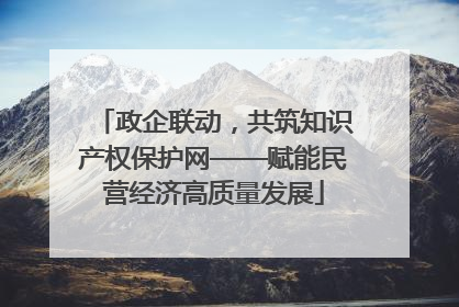 政企联动，共筑知识产权保护网——赋能民营经济高质量发展