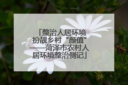 整治人居环境 扮靓乡村“颜值”——菏泽市农村人居环境整治侧记