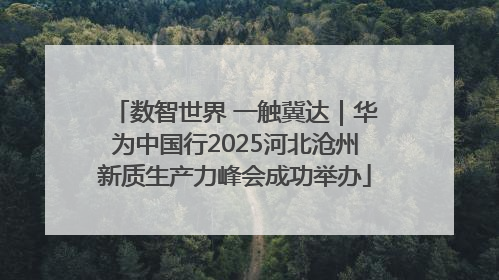数智世界 一触冀达｜华为中国行2025河北沧州新质生产力峰会成功举办