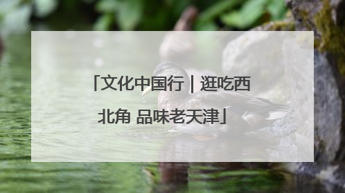 文化中国行｜逛吃西北角 品味老天津