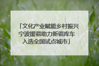 文化产业赋能乡村振兴 宁波援疆助力新疆库车入选全国试点城市