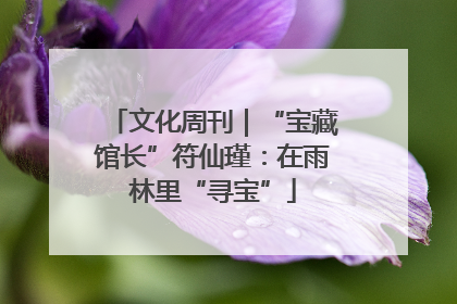 文化周刊｜“宝藏馆长”符仙瑾：在雨林里“寻宝”