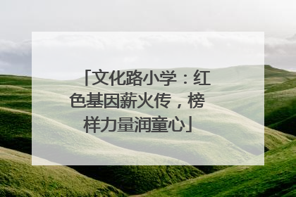 文化路小学：红色基因薪火传，榜样力量润童心