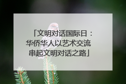 文明对话国际日：华侨华人以艺术交流串起文明对话之路