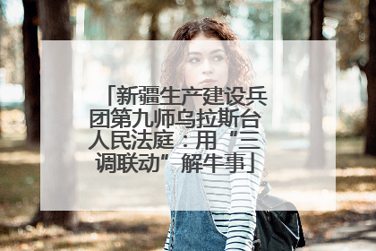 新疆生产建设兵团第九师乌拉斯台人民法庭：用“三调联动”解牛事