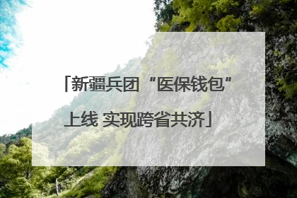 新疆兵团“医保钱包”上线 实现跨省共济