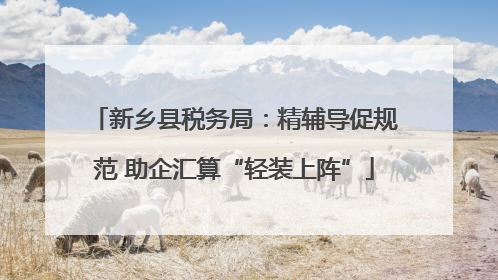 新乡县税务局：精辅导促规范 助企汇算“轻装上阵”