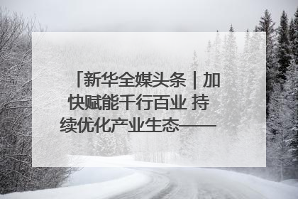 新华全媒头条｜加快赋能千行百业 持续优化产业生态——浙江推动人工智能健康有序发展观察
