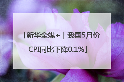 新华全媒+｜我国5月份CPI同比下降0.1%