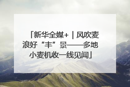 新华全媒+｜风吹麦浪好“丰”景——多地小麦机收一线见闻