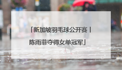 新加坡羽毛球公开赛丨陈雨菲夺得女单冠军