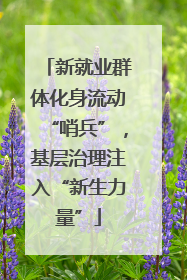 新就业群体化身流动“哨兵”，基层治理注入“新生力量”