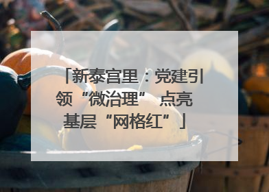 新泰宫里：党建引领“微治理” 点亮基层“网格红”