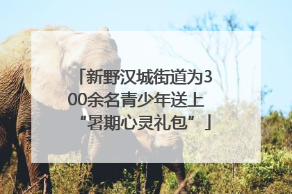 新野汉城街道为300余名青少年送上“暑期心灵礼包”