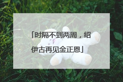 时隔不到两周，绍伊古再见金正恩