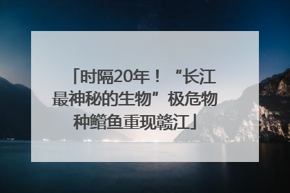 时隔20年！“长江最神秘的生物”极危物种鳤鱼重现赣江