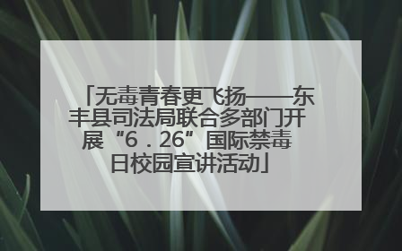 无毒青春更飞扬——东丰县司法局联合多部门开展“6．26”国际禁毒日校园宣讲活动