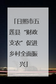 日照市五莲县“财政支农”促进乡村全面振兴