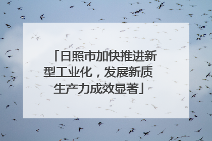 日照市加快推进新型工业化，发展新质生产力成效显著