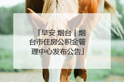 早安 烟台｜烟台市住房公积金管理中心发布公告