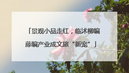 景观小品走红，临沭柳编藤编产业成文旅“新宠”