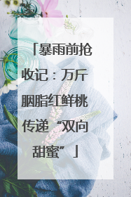 暴雨前抢收记：万斤胭脂红鲜桃传递“双向甜蜜”