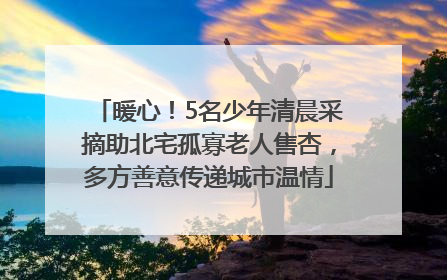 暖心！5名少年清晨采摘助北宅孤寡老人售杏，多方善意传递城市温情