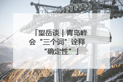 望岳谈｜青岛峰会“三个词”诠释“确定性”