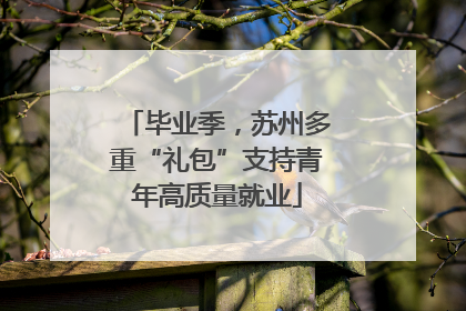 毕业季，苏州多重“礼包”支持青年高质量就业