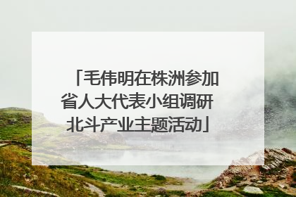 毛伟明在株洲参加省人大代表小组调研北斗产业主题活动