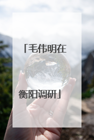 毛伟明在衡阳调研