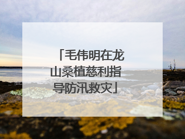 毛伟明在龙山桑植慈利指导防汛救灾