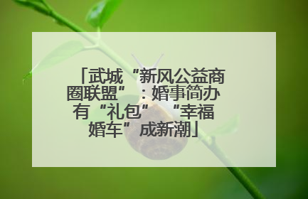 武城“新风公益商圈联盟”：婚事简办有“礼包” “幸福婚车”成新潮