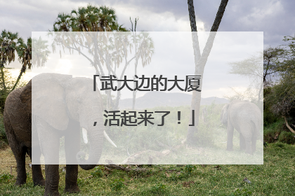 武大边的大厦，活起来了！
