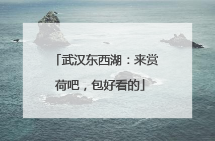武汉东西湖：来赏荷吧，包好看的