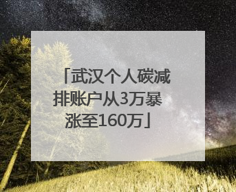 武汉个人碳减排账户从3万暴涨至160万