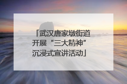 武汉唐家墩街道开展“三大精神”沉浸式宣讲活动